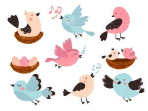 Zeichnung vieler verschiedener singender Vögel 